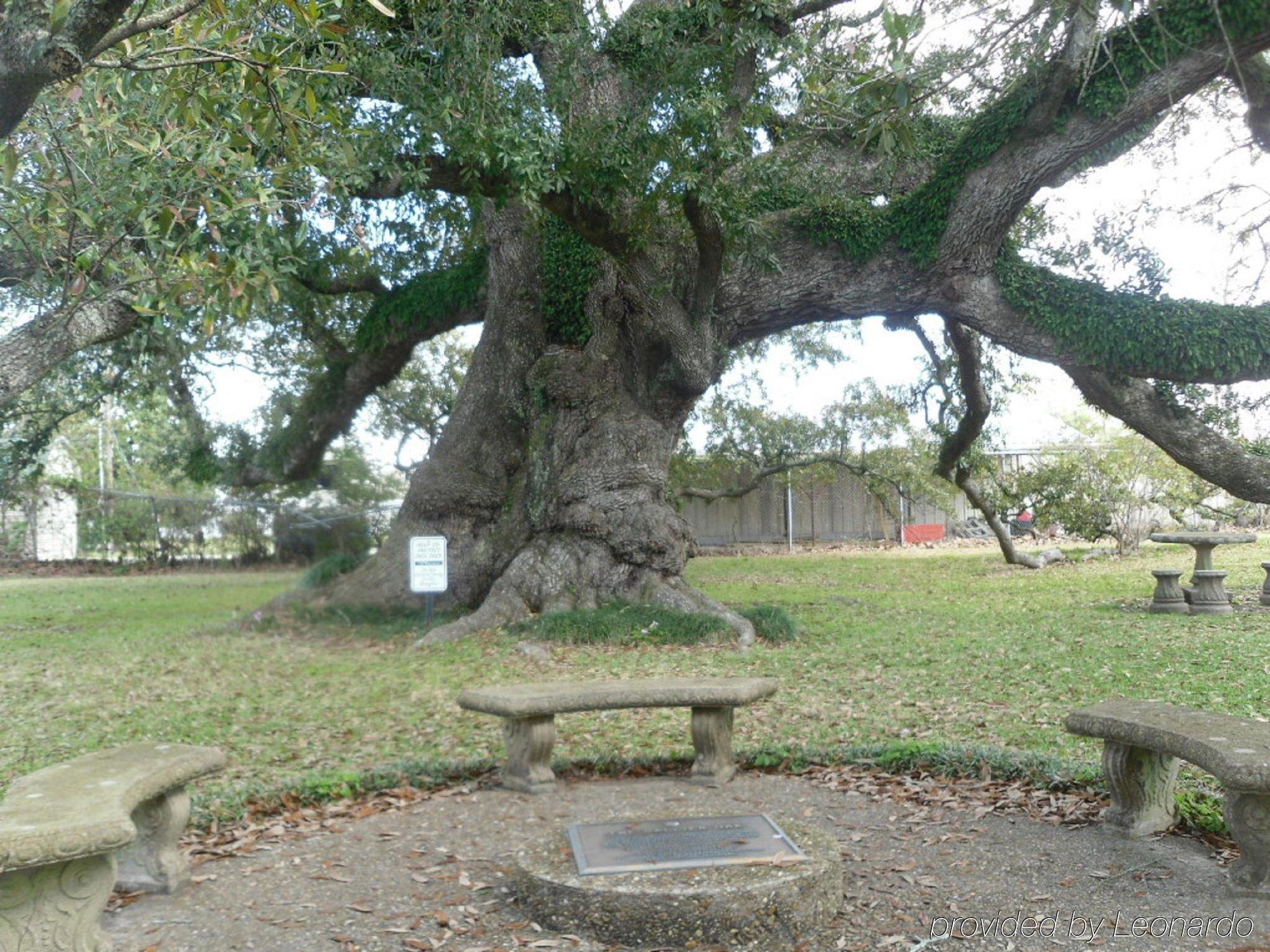 Wyndham Charles